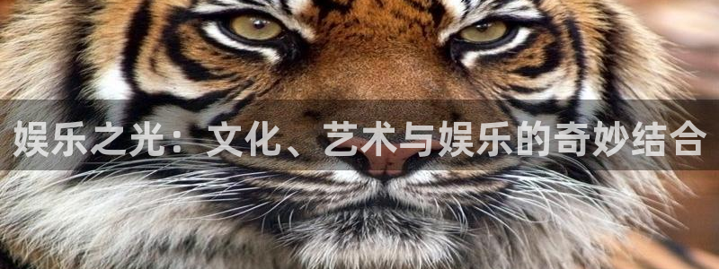 长运娱乐平台官网入口