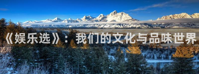 长运娱乐平台