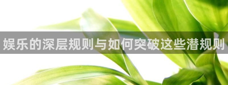 长运娱乐平台登录入口