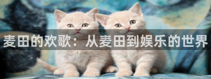 长运娱乐官网登录入口