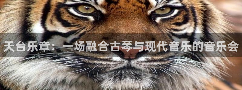 长运娱乐平台