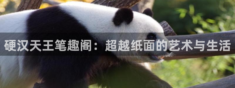 长运娱乐